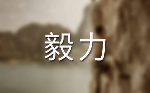 毅力的作文500字(精选33篇)