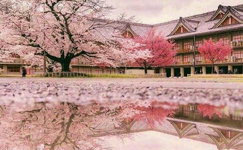 ӣ����ѧ���