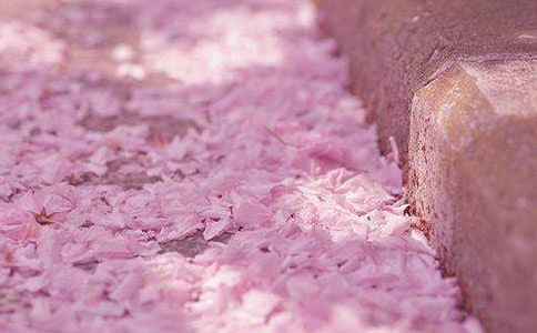 ӣ���ļ��۷�ͼ��