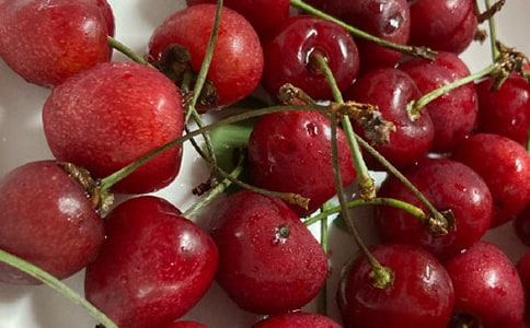 С�������̰�����ѧ��˼��ӣ�ҡ�