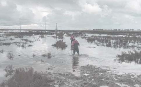 油田调研报告怎么写