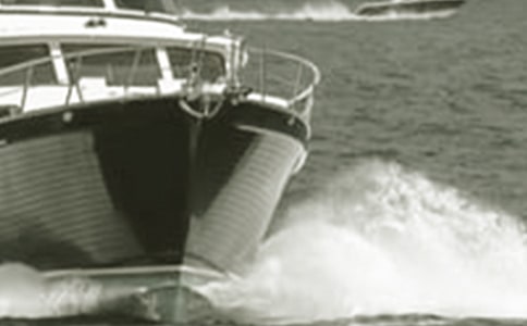 登上豪华游艇五年级作文