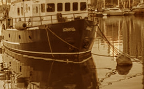 ������ͧ��Ŀ�����Ա��棨�����棩