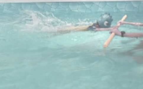 游泳四年级作文300字