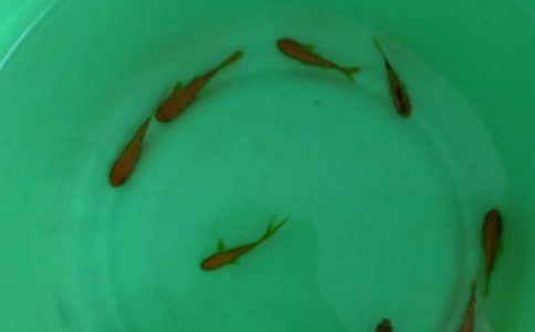 ���繺����ͬ(14ƪ)