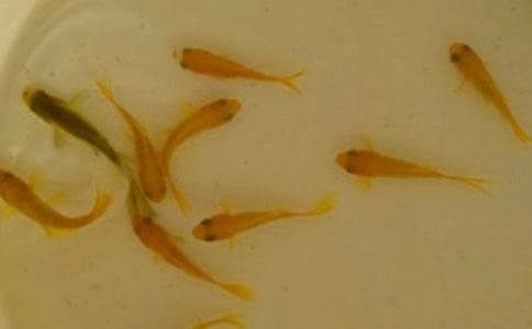 ���繺����ͬ(�Ƽ�)