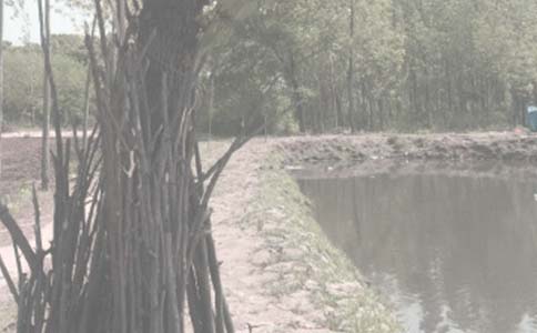 �а�������ͬͨ��15ƪ