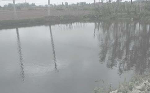 ũҵ�����а�Э����