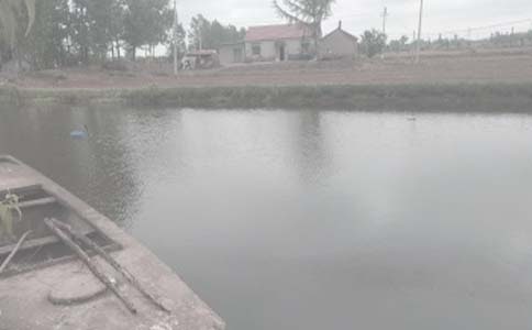 ���������а���ͬ���Ļ��8ƪ