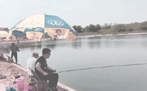 �����а���ͬ��13ƪ