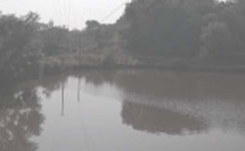 �а�������ͬ���15ƪ