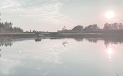 �������޺�ͬ��ͨ��14ƪ��