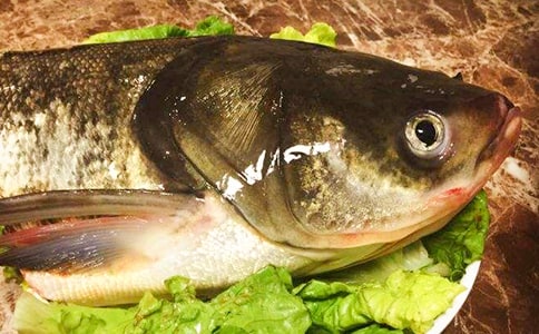 ���谮����ͷ���Ҵ�С��֪�����������ģ�ͨ��20ƪ��