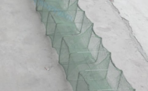 ��������ժ��