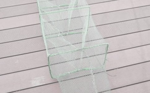 ��������СŮ�����꼶����