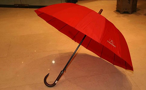 爸爸的雨伞作文500字