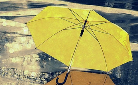 雨伞作文400字八篇
