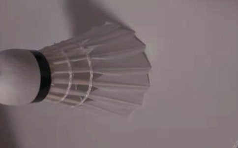 ��ѧ��ë�����ʵʩ�߻���