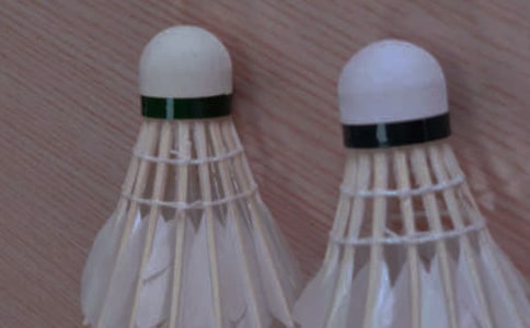 �༶��ë�������߻���