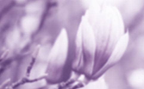 ������ϲ��������