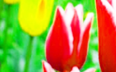 ����������Ĵ�������