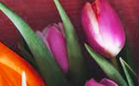 郁金香观察作文