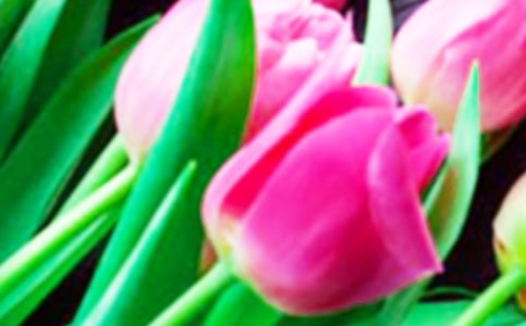 ��д�����������300�֣�ͨ��59ƪ��