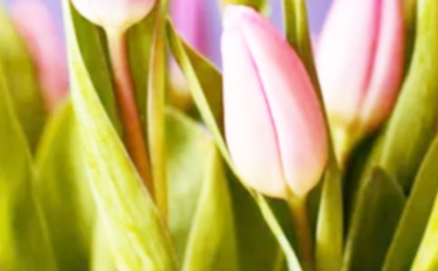 ��������ֹ���ֽ�̳�