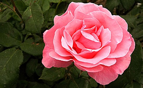 �۲��¼�����