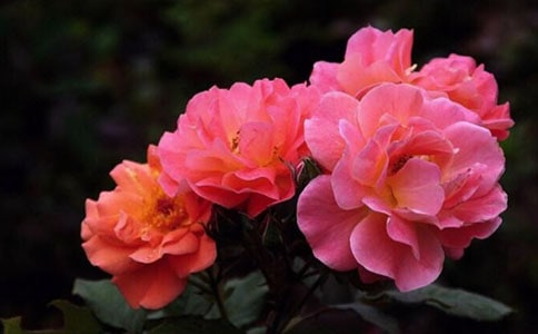 �¼�����400����ƪ