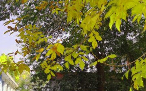 ͨ����ϵ��簲��������Ȧ27��