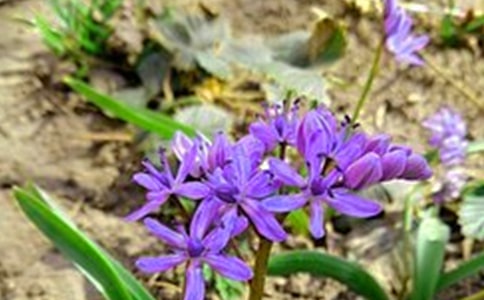 ʵ�õ�����ϵ�簲����Ȧ�ʺ�������57��