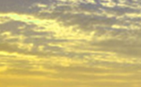 ����ÿ��һǩ�簲����Ȧ�ʺ���31��