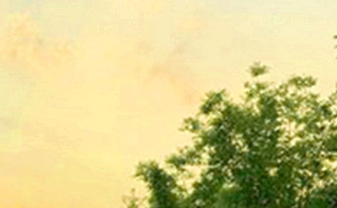 �����簲������ӻ��54��