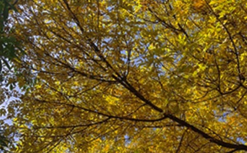 2021����ů���簲����Ȧ�ʺ���28��