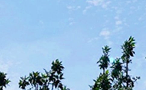 ��ѡ�°��簲����Ȧ�ʺ���󼯺�63��