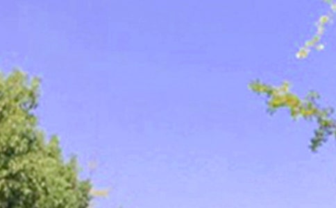 ͨ���ʺ����Ϸ����簲����Ȧ�ʺ���190��