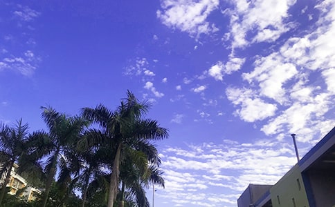 �����š�2021���簲��������Ȧ�󼯺�51��