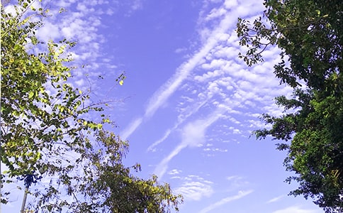 �й��簲������Ӷ��Ż��68��