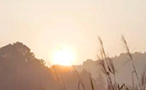 �����š�2021������ϵ�簲��������Ȧ28��