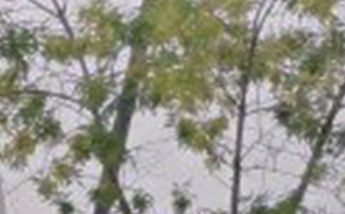 ʵ�õ��ʺ����Ϸ����簲��������Ȧ���41��