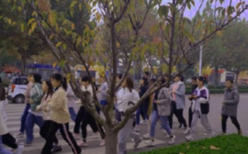 �����š���ٳٵ���������ƪ