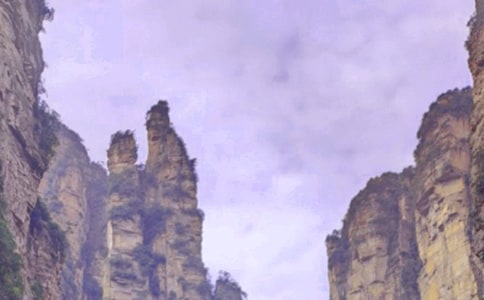 ����д������800�֣��żҽ��μ�