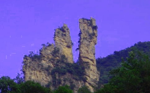 �����˵��żҽ硷��ѧ��Ʒ���