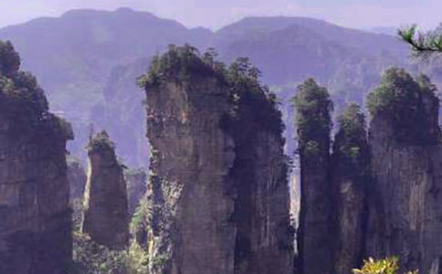 �����żҽ絼�δ����㷶��