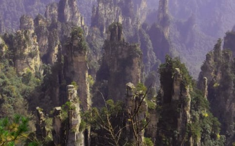 神奇的张家界小学400字优秀作文