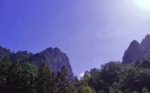 精选湖南张家界导游词作文三篇