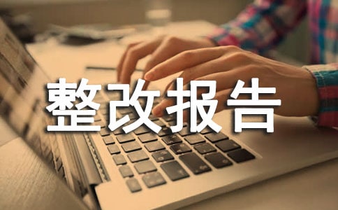 城市语言文工作评估整改报告