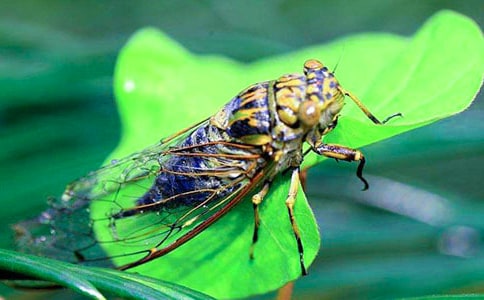 ճ֪�˵�����400��