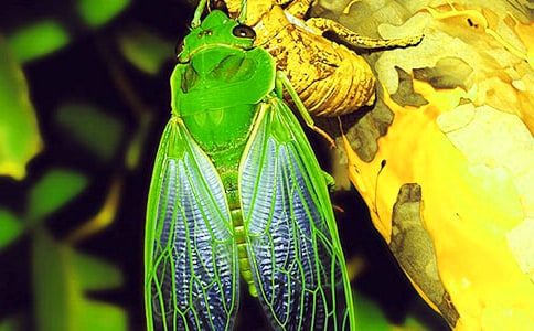 ֪��ѧ�ɽ�ѧ��˼